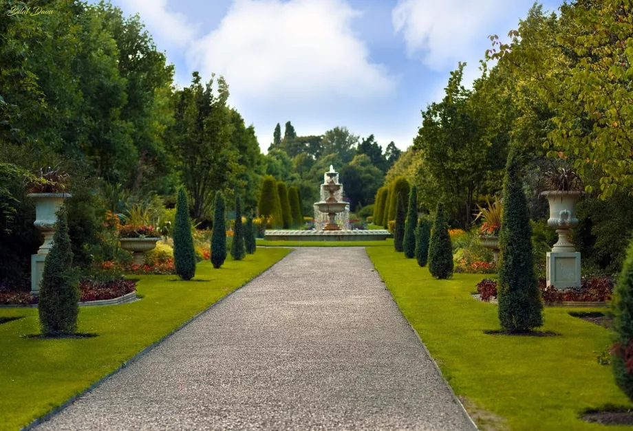 Kráľovská záhrada Regent's Park