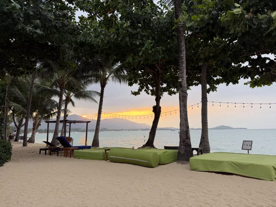 Hotelová pláž s ležadlami pri západe slnka