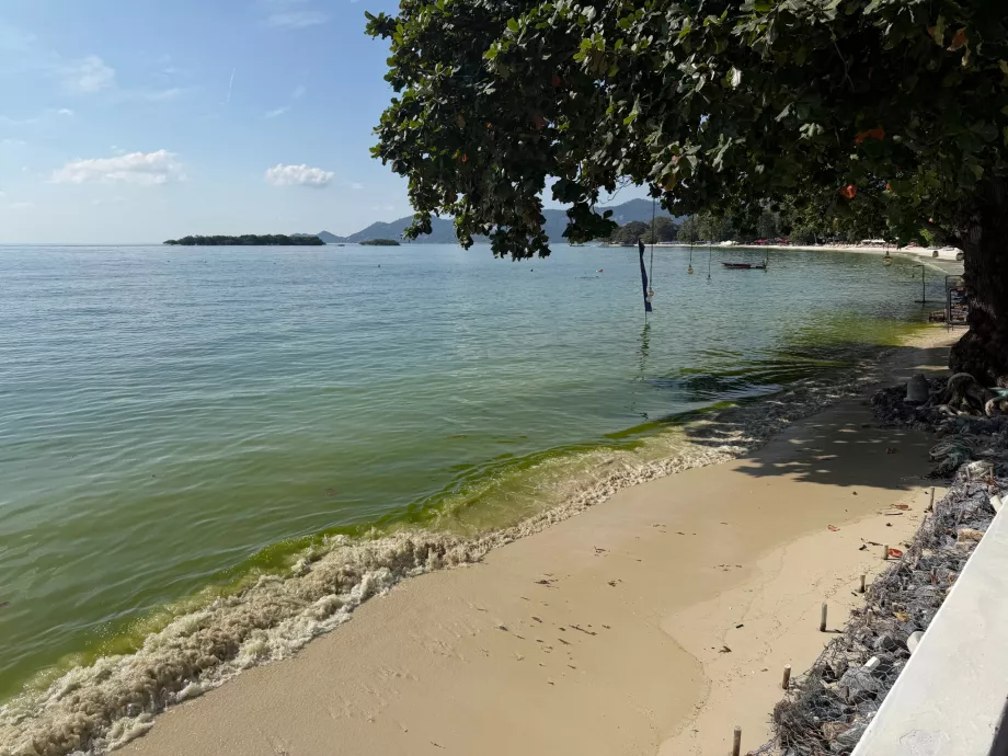 Hotelová pláž plná rias