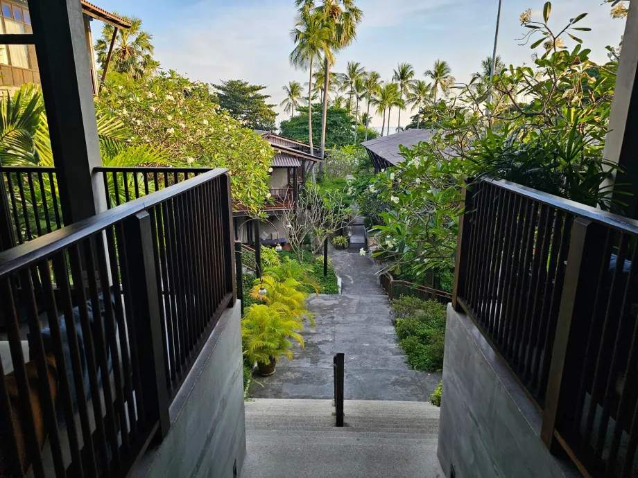 Homm Chura Samui z pohľadu z recepcie