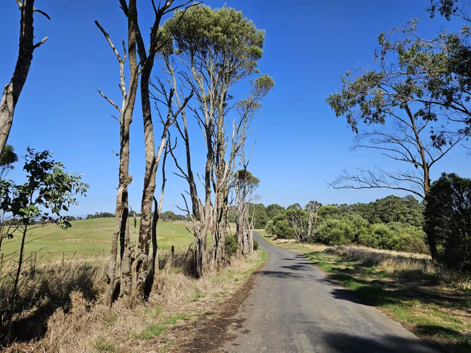 Národný park Great Otway