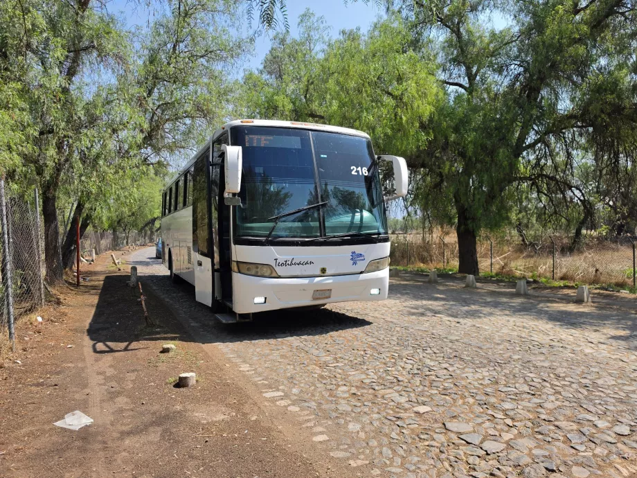 Autobus Teotihuacán <-> Mexico City