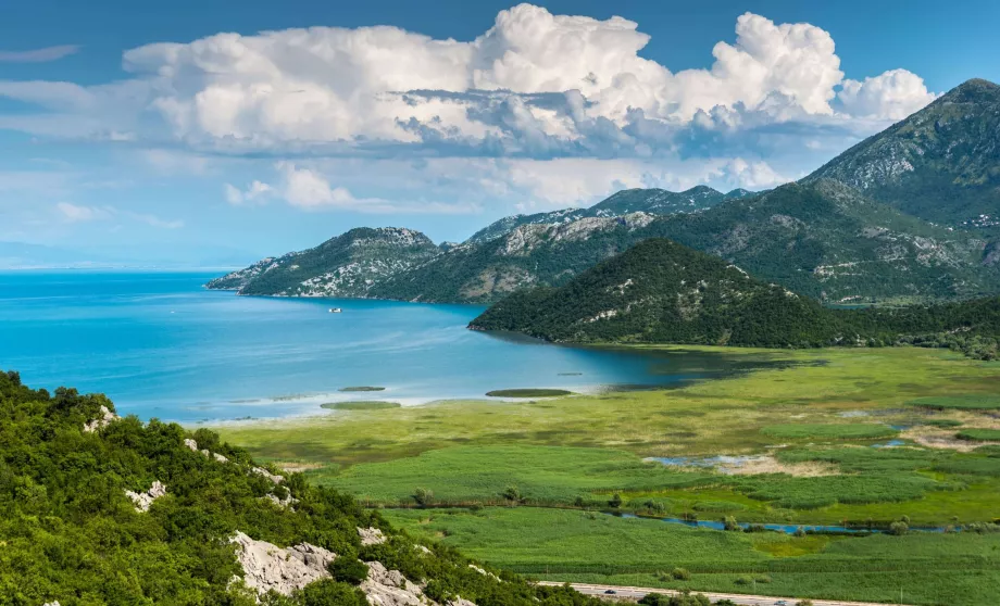 Lake Skadar