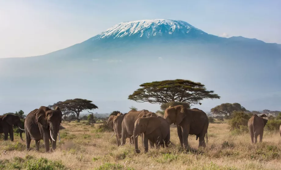 Amboseli