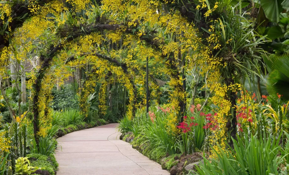 Botanická záhrada v Singapure
