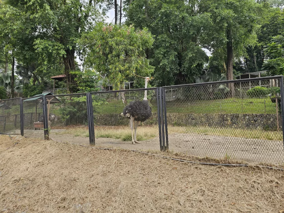 Vtáčí park