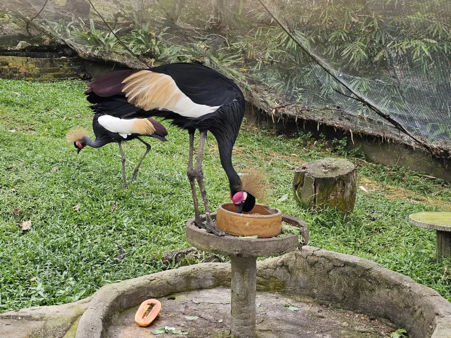 Vtáčí park
