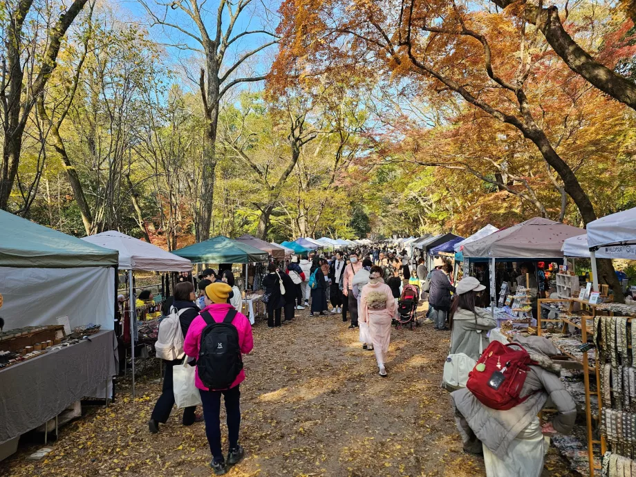 Cesta do svätyne Shimogamo