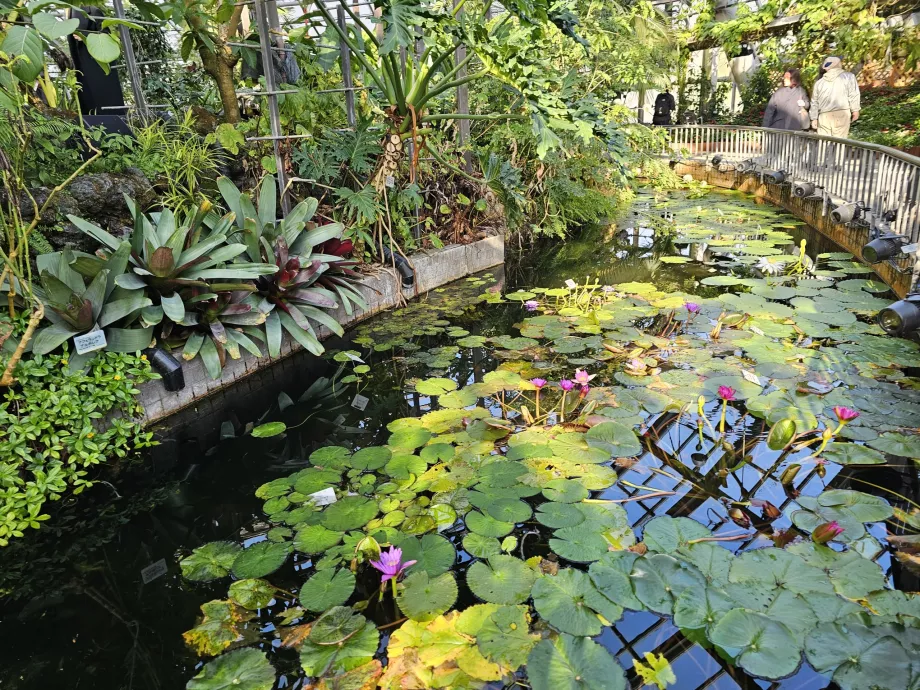 Botanické záhrady v Kjóte