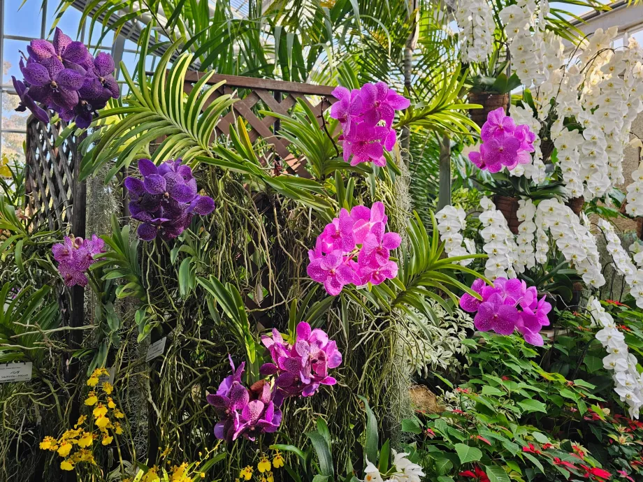 Botanické záhrady v Kjóte