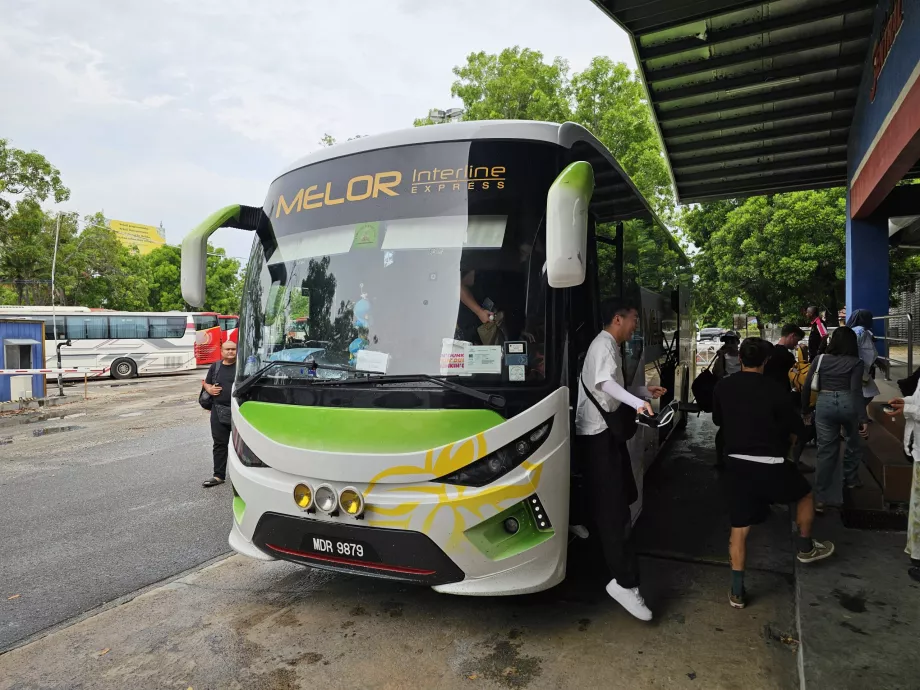 Melor Interline, autobus