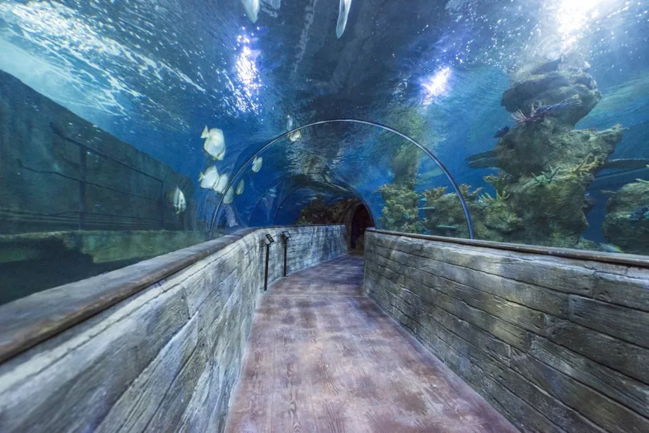 Národné akvárium na Malte