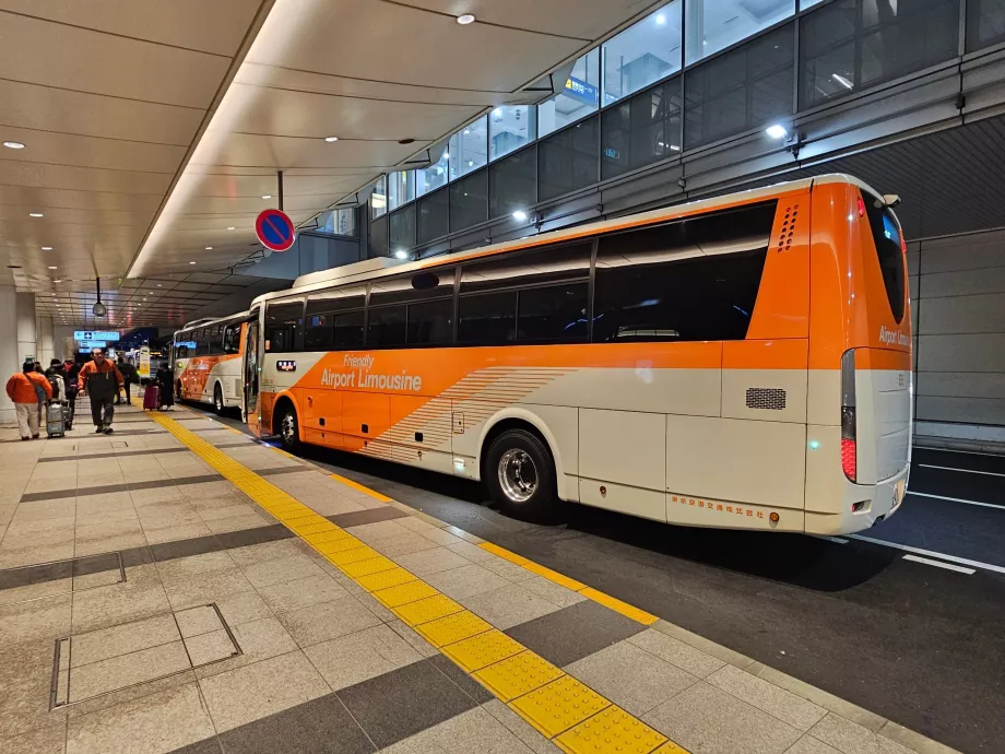 Limuzínové autobusy