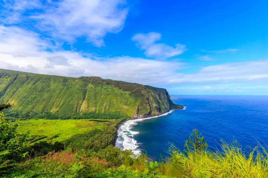 Vyhliadka Waipio