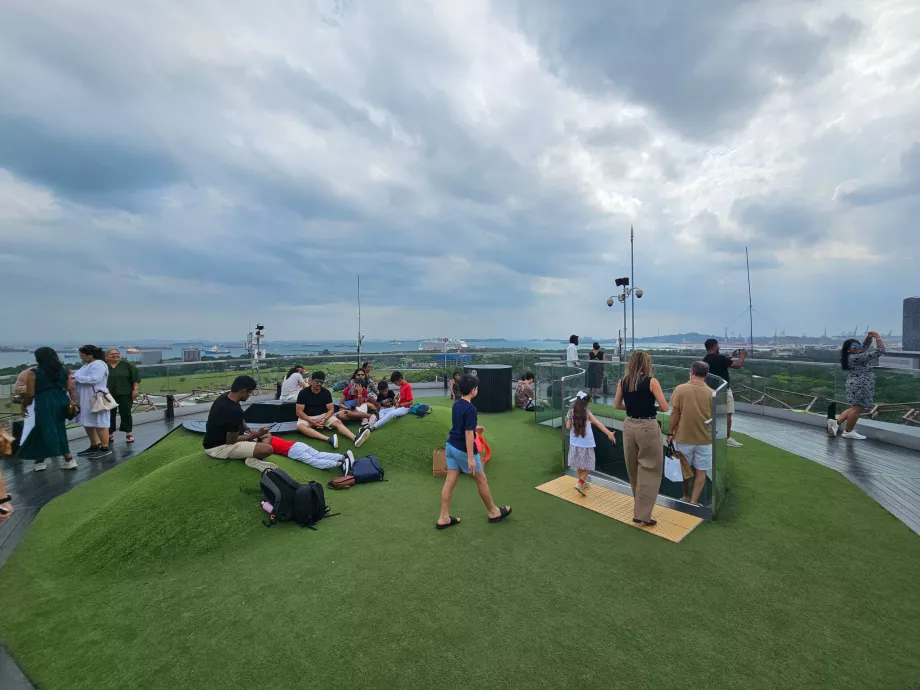 Supertree Observatory