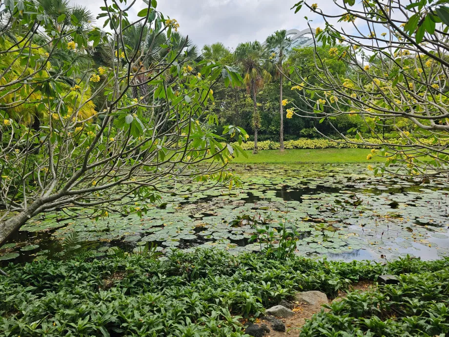 Záhrady pri zálive