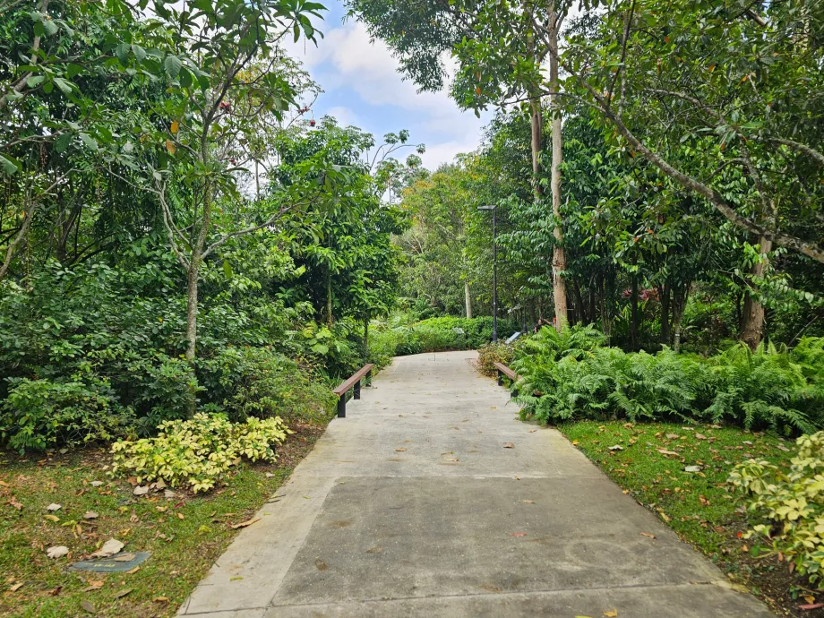 Záhrady pri zálive