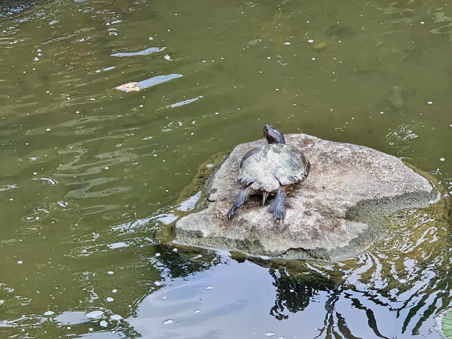 Záhrady pri zálive