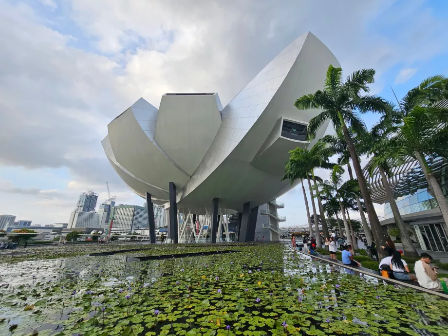 Múzeum umenia a vedy