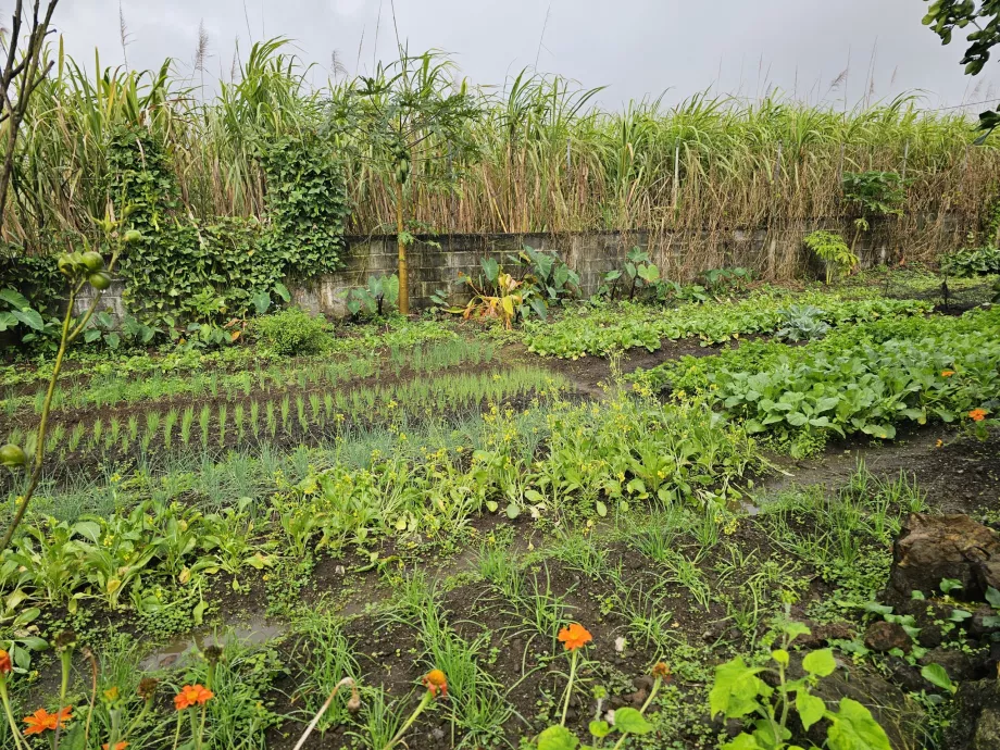 Plantáž Vanille
