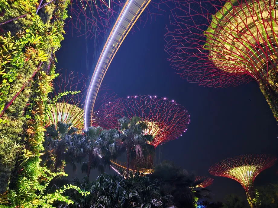 Záhradná rapsódia