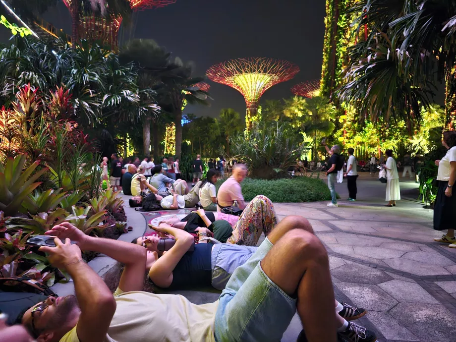 Záhradná rapsódia