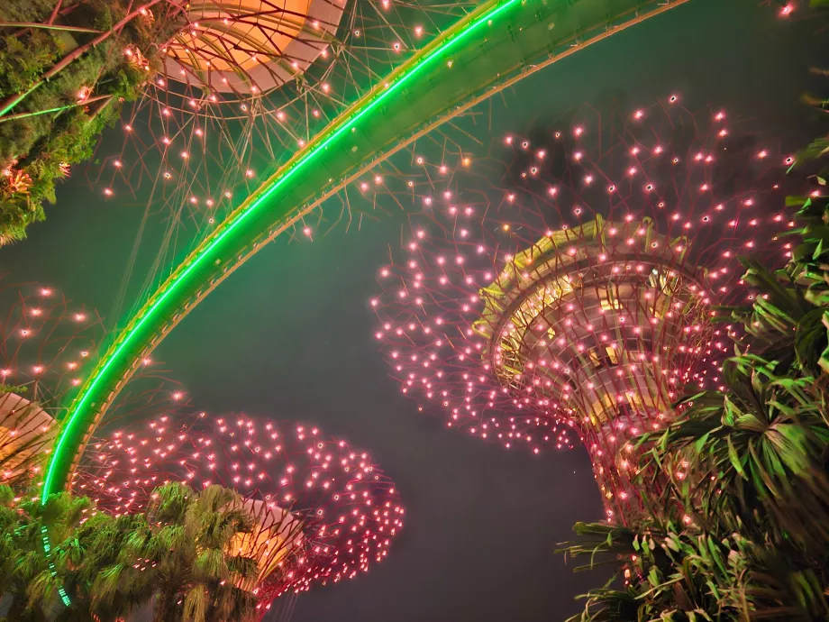 Záhradná rapsódia