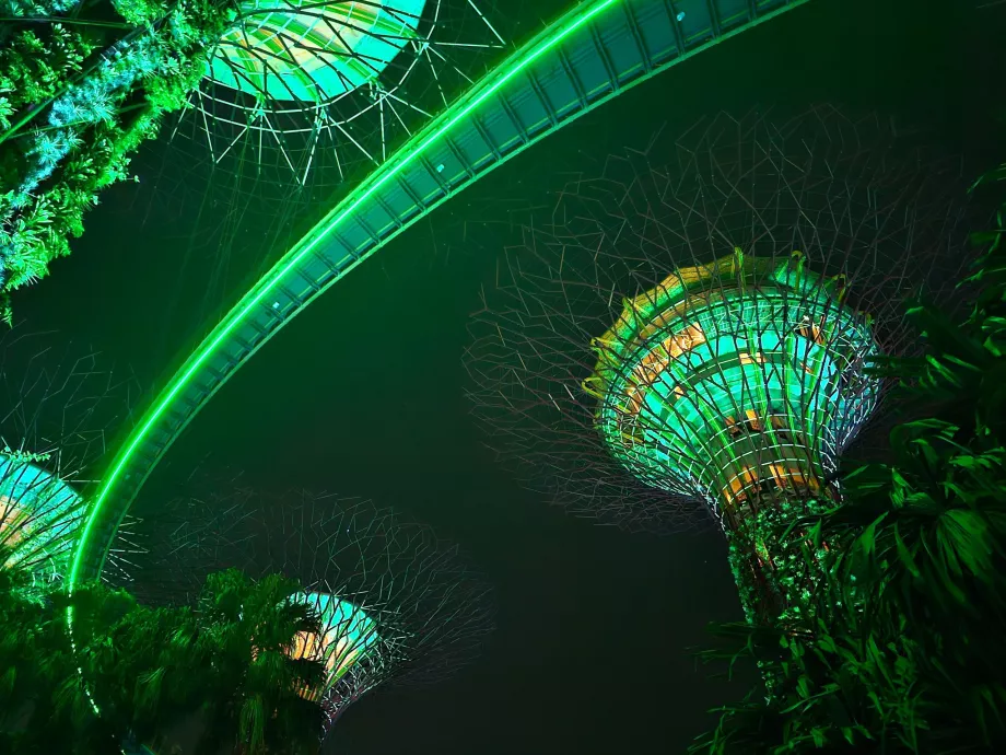 Záhradná rapsódia