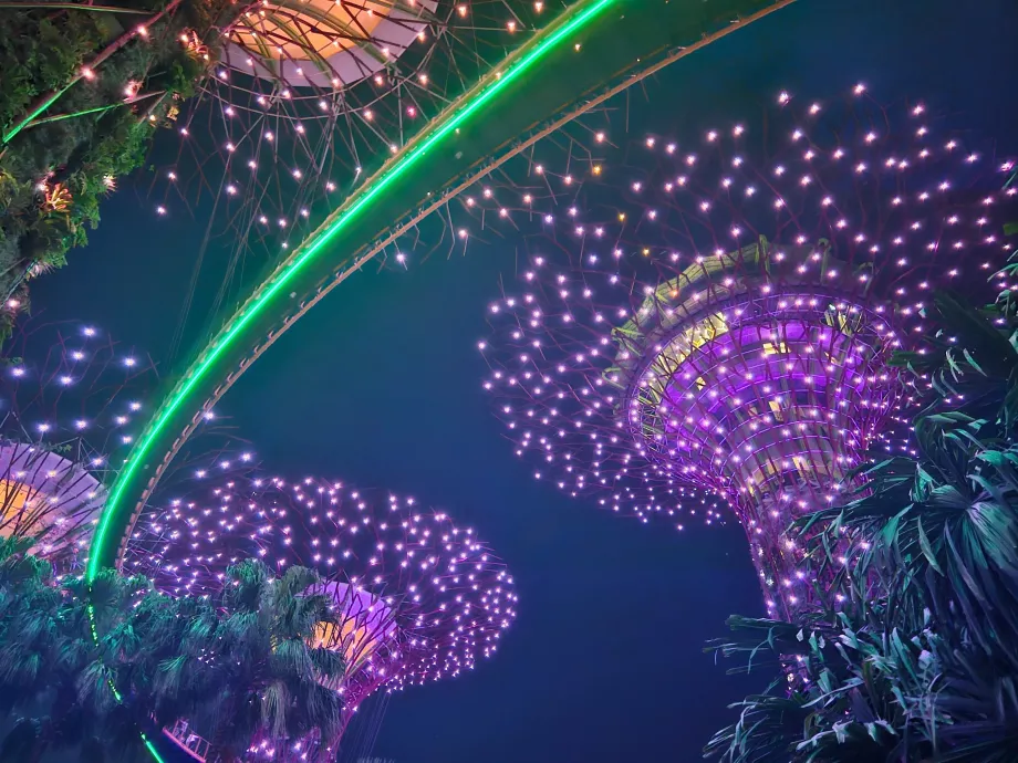 Záhradná rapsódia