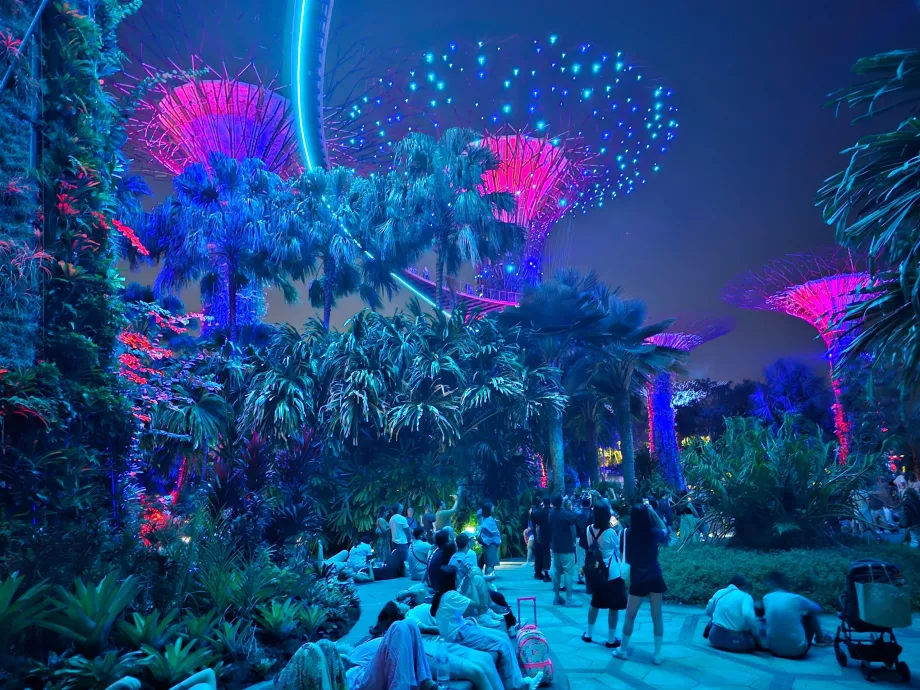 Záhradná rapsódia