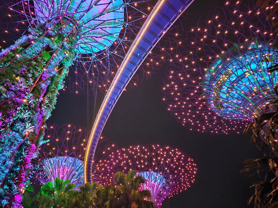 Záhradná rapsódia