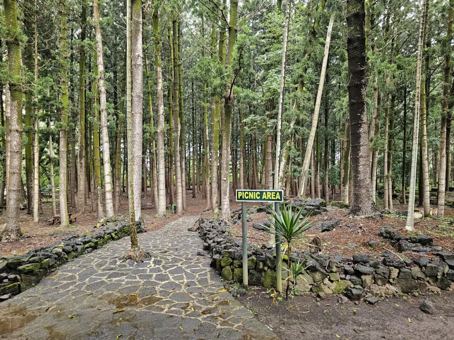 Národný park Bras d'Eau