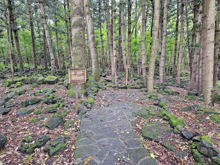 Národný park Bras d'Eau, turistický chodník