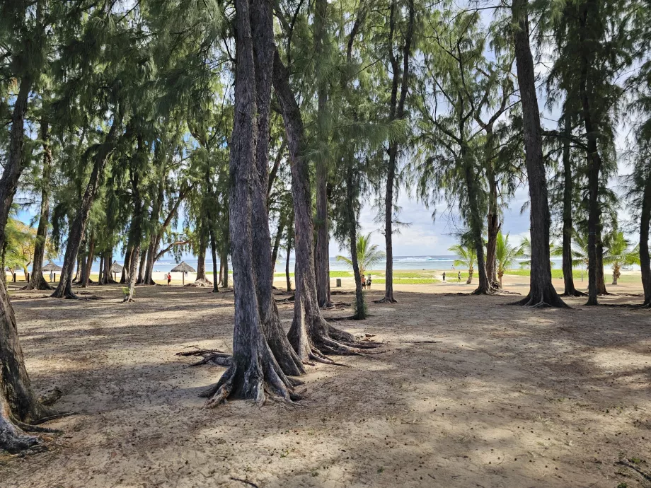 Park pri pláži Flic en Flac
