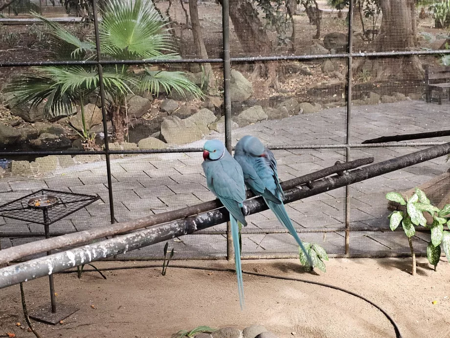 Zoologická záhrada Casela