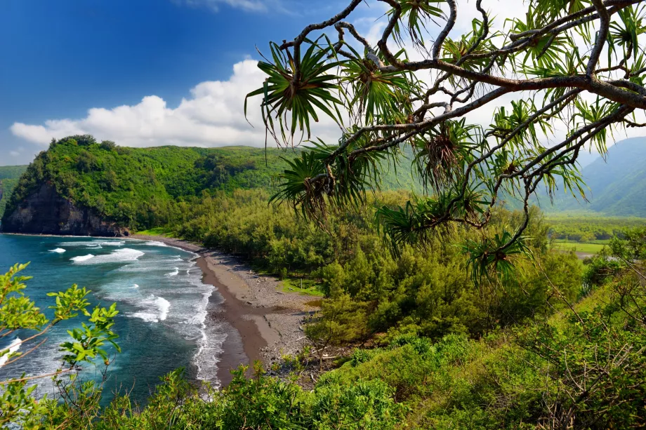 Chodník Pololu