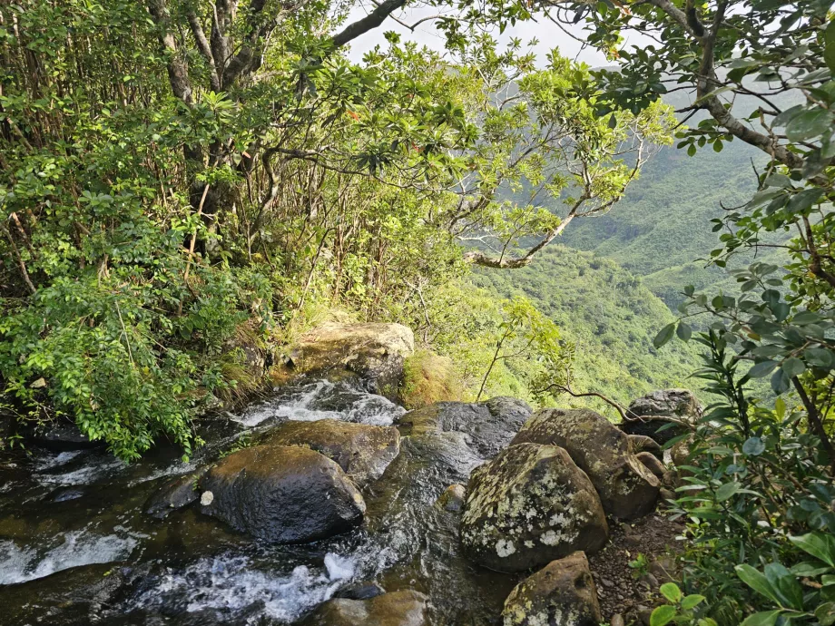 Machabee Loop