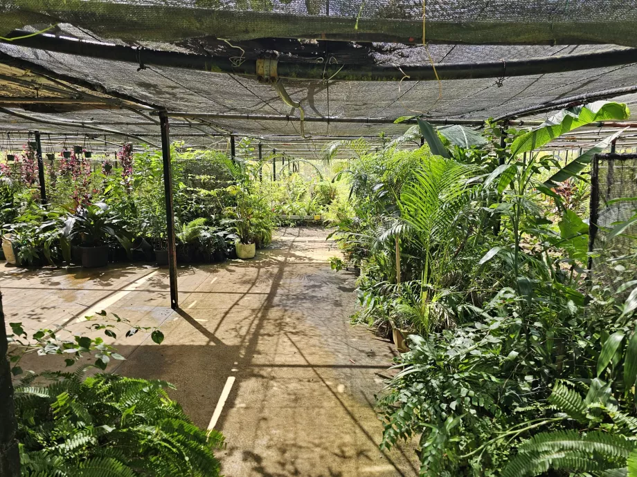 Saint Aubin, vanilková plantáž
