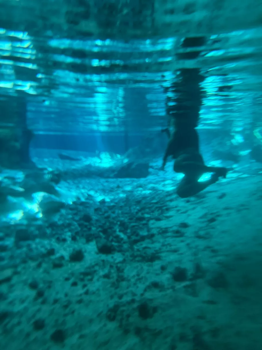 Pohľad pod hladinu vody v Gran Cenote