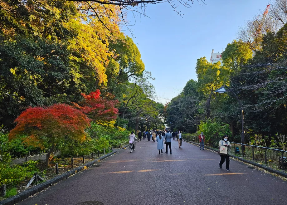 Park Ueno