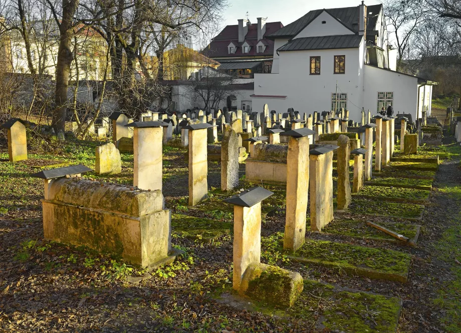 Synagóga v Remuhu
