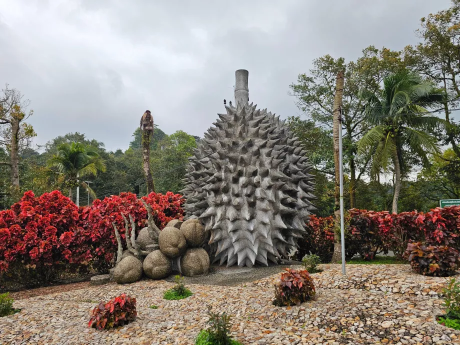 Magické kamenné ovocie