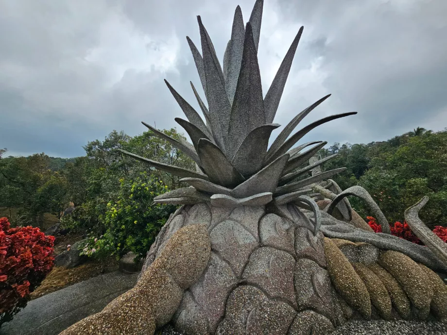 Magické kamenné ovocie