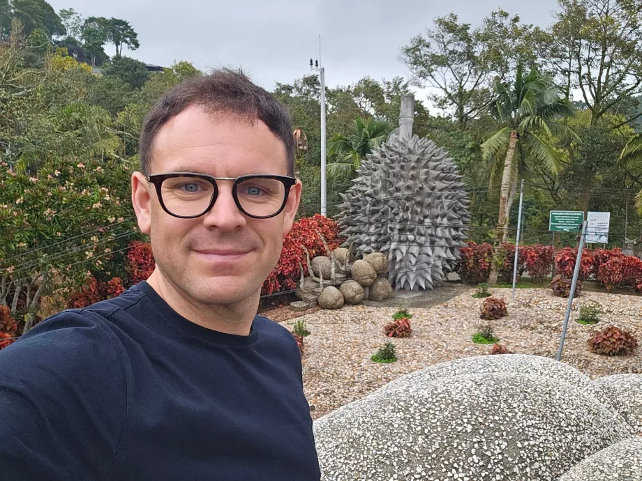 Magické kamenné ovocie