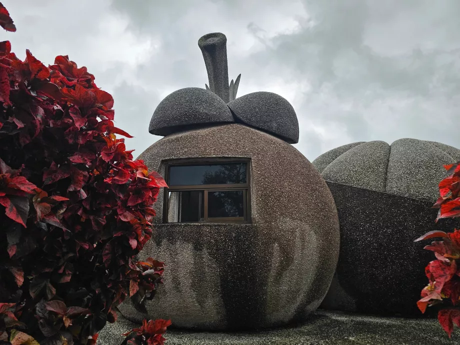 Magické kamenné ovocie