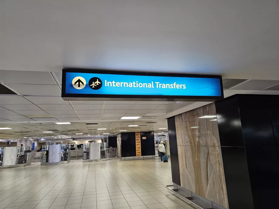 Medzinárodný transfer