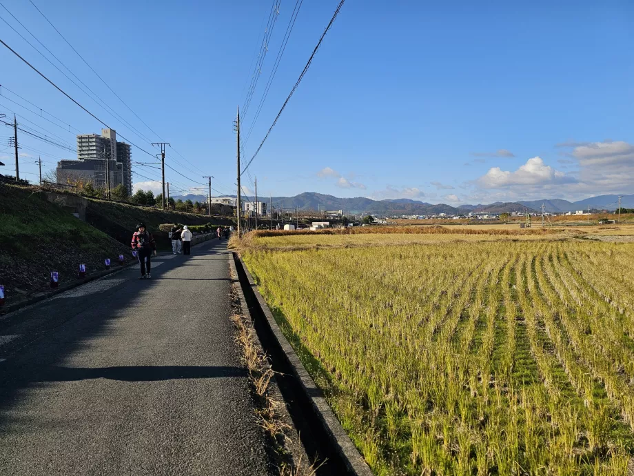 Prechádzka zo stanice na loď