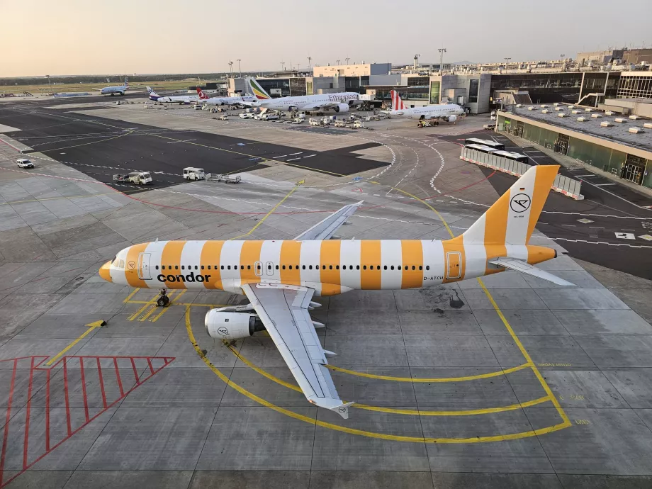 Žltý Airbus A320 na letisku vo Frankfurte