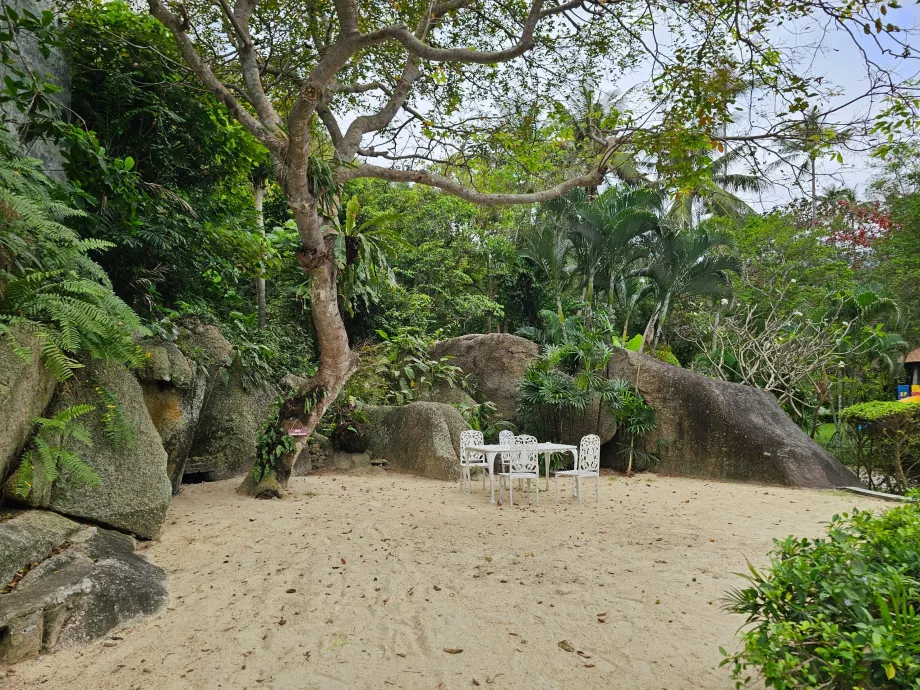 Posedenie v záhrade