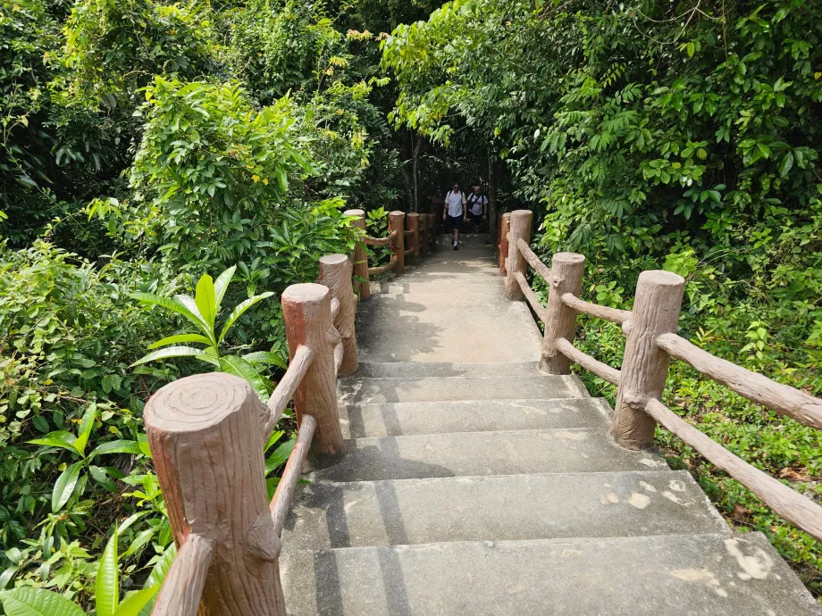 NP Namtok Than Sadet